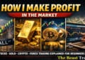 Infographic explaining how to make profit in the financial market using trading strategies, price action and risk management for beginners