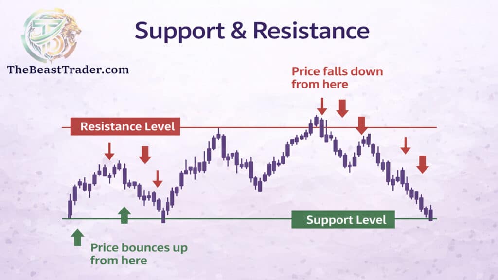 Infographic explaining support and resistance levels in price action trading showing how price reacts at key market levels